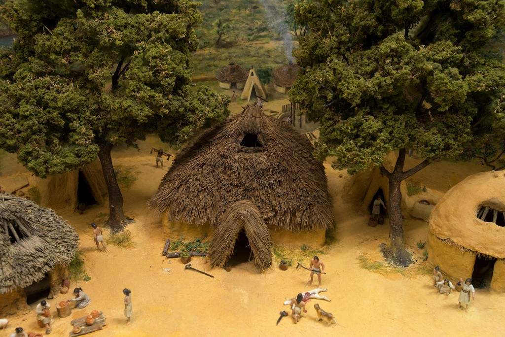 Building a picture of a Neolithic village